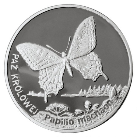Zwierzęta świata - Paź Królowej